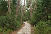 listwy przypodłogowe