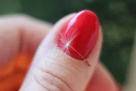 estetyczny manicure w warszawie - praga południe