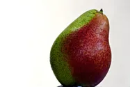 bio żywność sklep